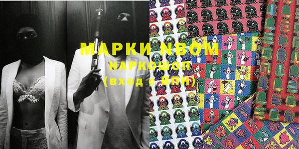 гашик Туринск