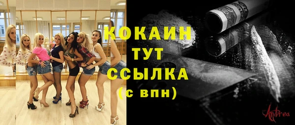 гашик Туринск