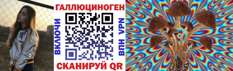 Псилоцибиновые грибы Psilocybe  Купить  Рузаевка 